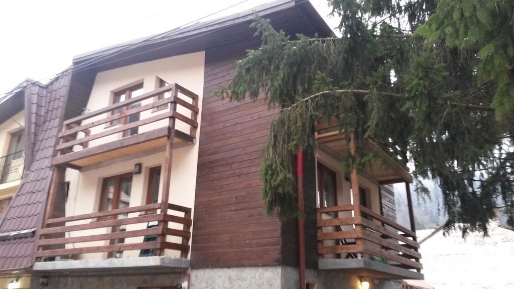 拉布尼布什泰尼酒店 Buşteni 外观 照片